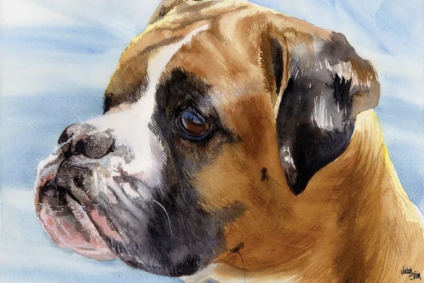 Boxers: Peter Pan - Boxer Dog by Judith Stein
