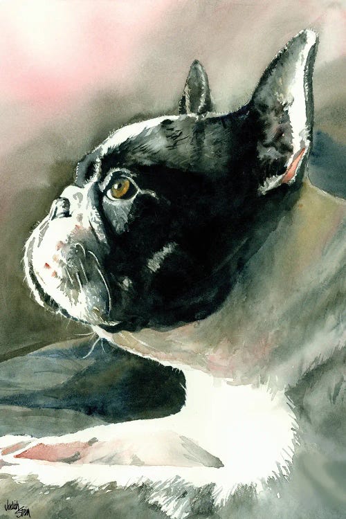 Petit Chien Vula by Judith Stein wall art