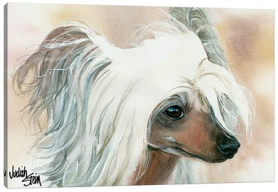 Bad Hair Day - Chinese Crested Canvas Art Print - Judith Stein