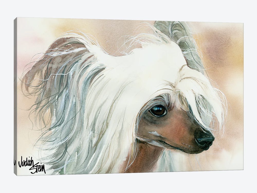 Bad Hair Day - Chinese Crested by Judith Stein 1-piece Art Print