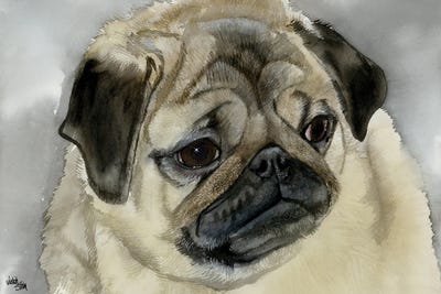 Playful Pug by Judith Stein metal wall art