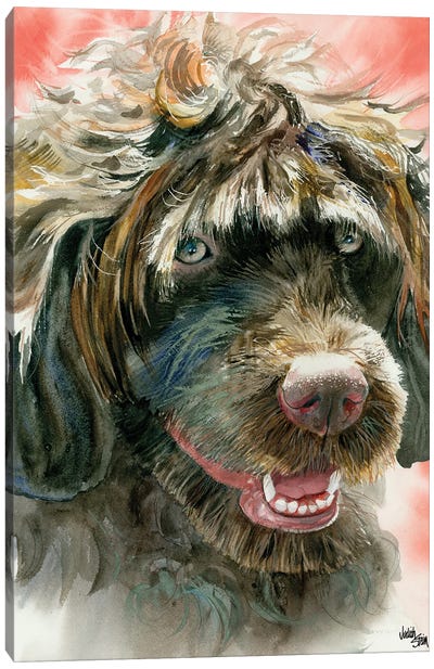 Portie - Portuguese Water Dog Canvas Art Print - Judith Stein