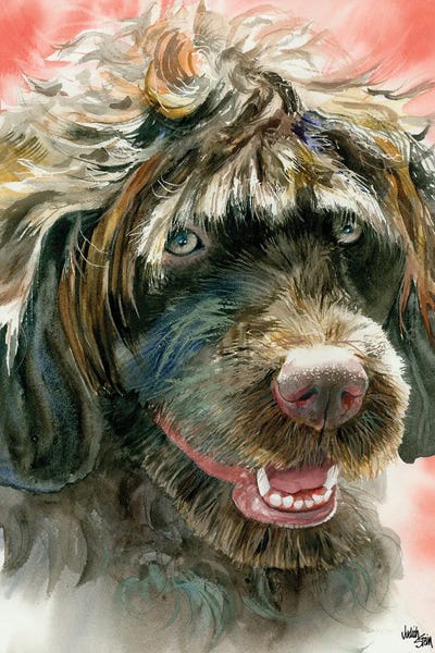 Other Breeds: Portie - Portuguese Water Dog by Judith Stein
