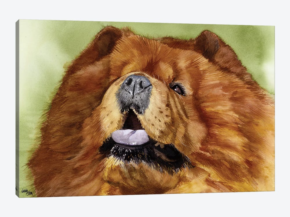 Puffy Lion Dog - Chow by Judith Stein 1-piece Canvas Artwork