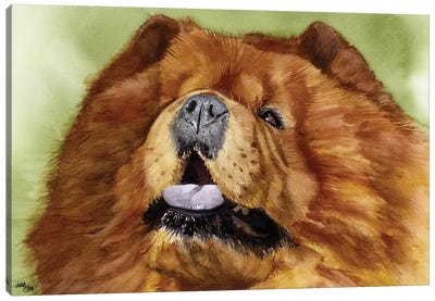 Puffy Lion Dog - Chow Canvas Art Print - Judith Stein