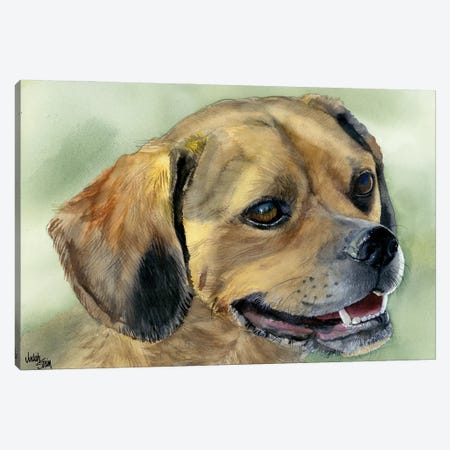 Puggle Bug - Puggle Dog Canvas Print #JDI124} by Judith Stein Art Print
