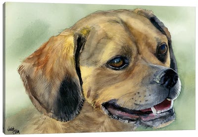 Puggle Bug - Puggle Dog Canvas Art Print - Pug Art