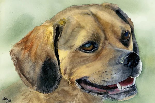 Beagles: Puggle Bug - Puggle Dog by Judith Stein