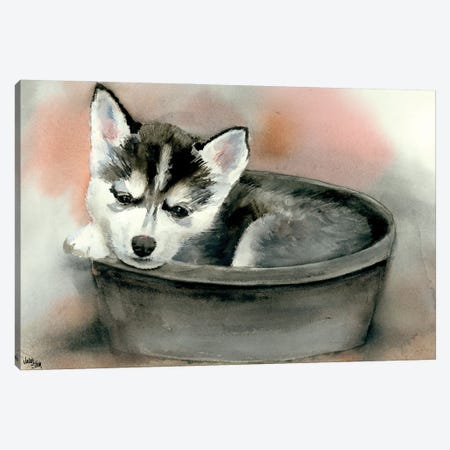 Pup in a Cup - Gemma Canvas Print #JDI125} by Judith Stein Art Print