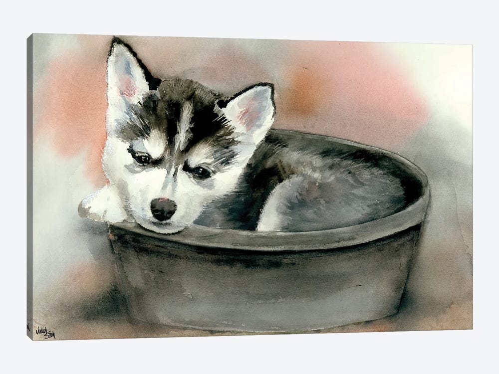 Pup in a Cup - Gemma by Judith Stein 1-piece Canvas Art
