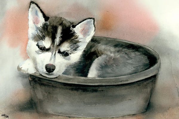 Puppies: Pup in a Cup - Gemma by Judith Stein