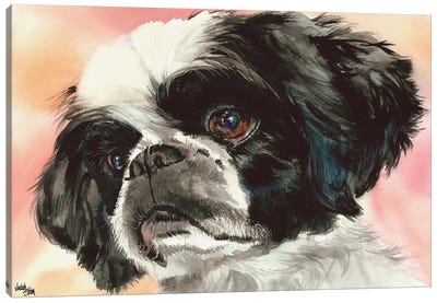 Puppy Dog Eyes - Shih Tzu Canvas Art Print - Judith Stein