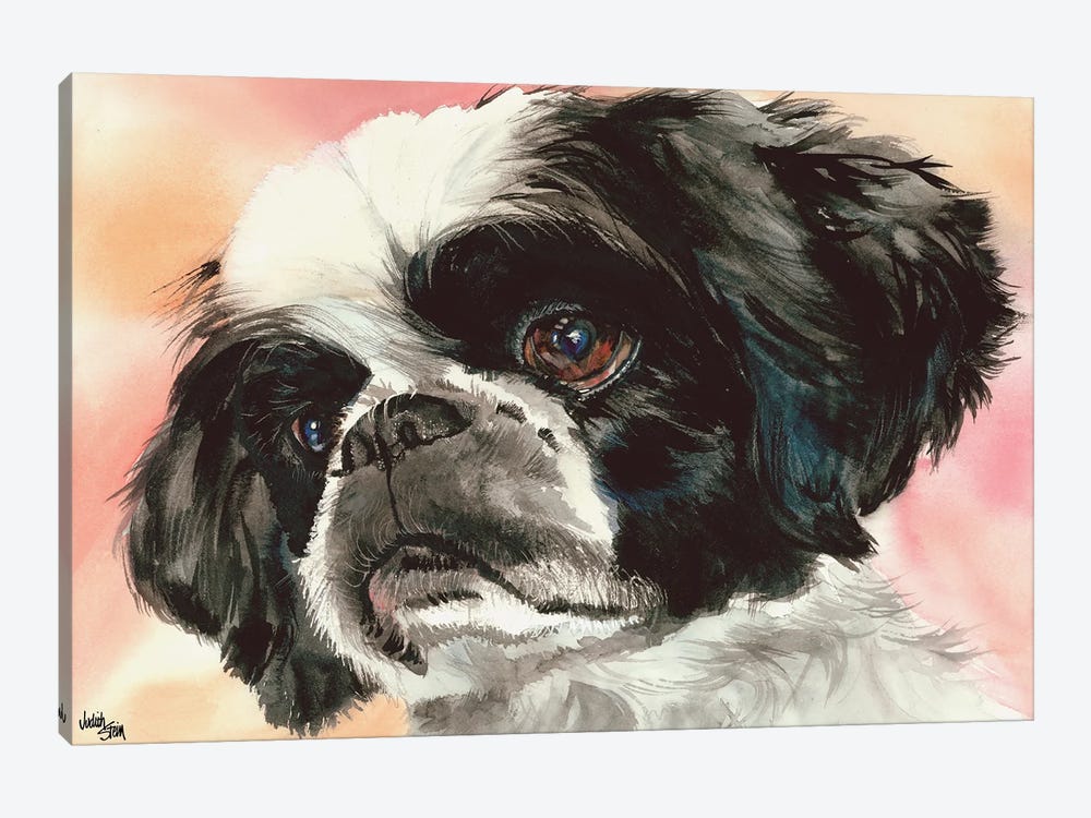 Puppy Dog Eyes - Shih Tzu by Judith Stein 1-piece Canvas Print