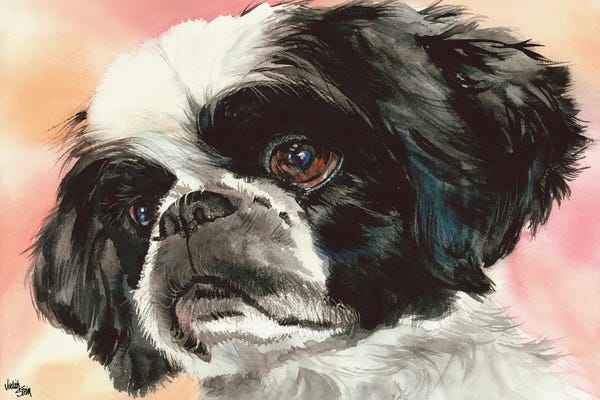Shih Tzus: Puppy Dog Eyes - Shih Tzu by Judith Stein