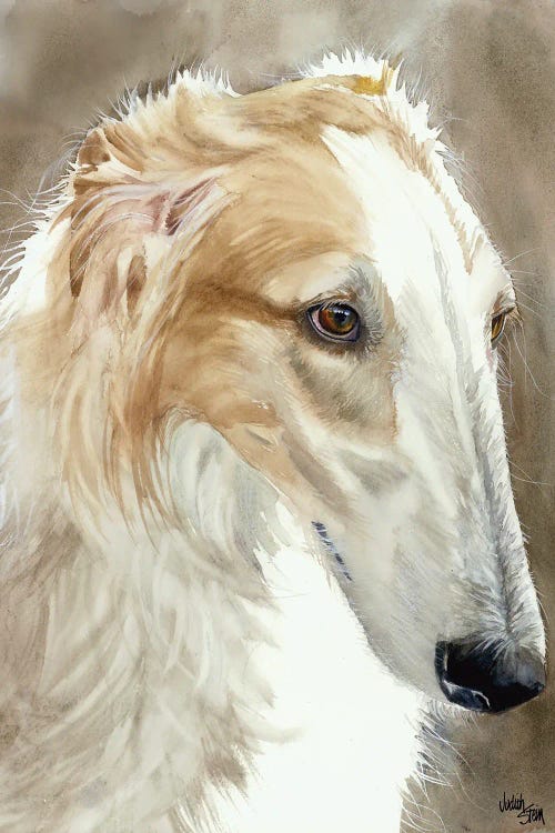 Quick Dog - Borzoi