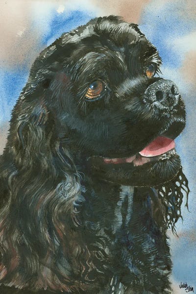 Spaniels: Raven by Judith Stein