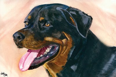 Rottierott by Judith Stein framed wall art