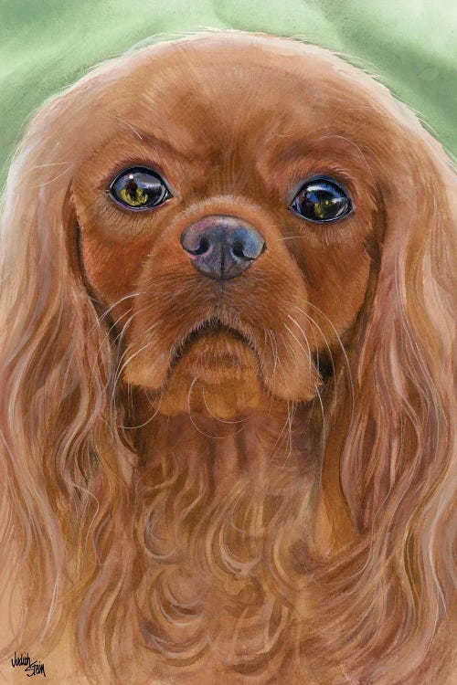 Ruby Slippers - Cavalier King Charles Spaniel