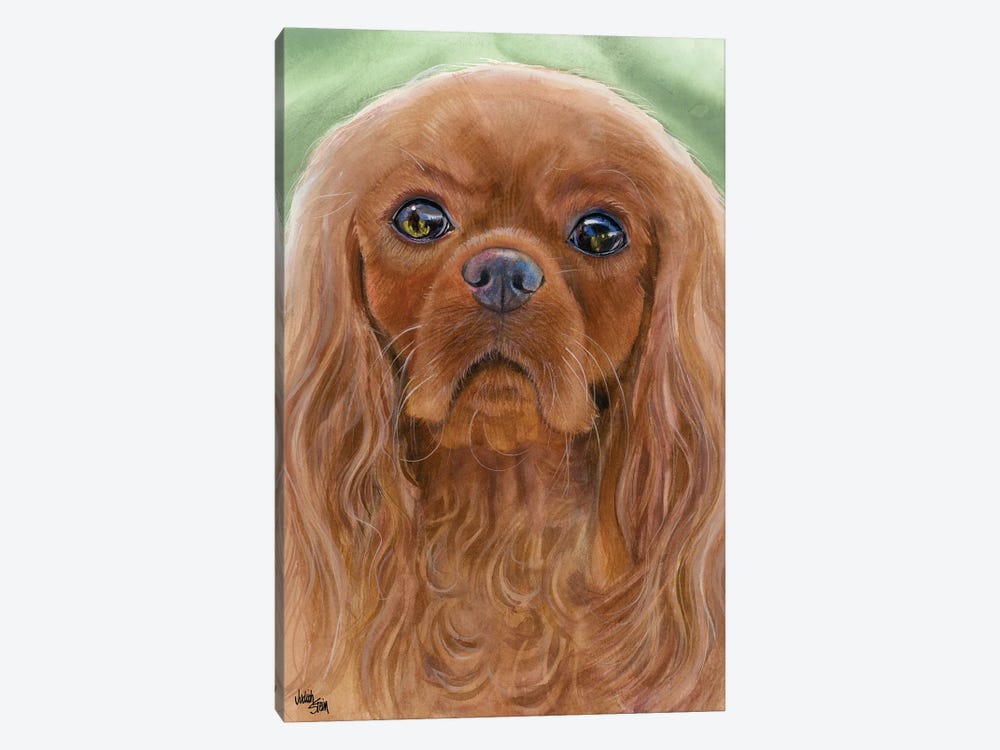 Ruby Slippers - Cavalier King Charles Spaniel by Judith Stein 1-piece Canvas Art