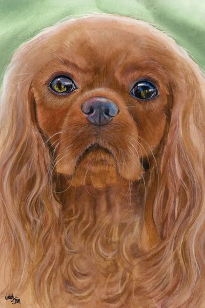 Cavalier King Charles Spaniels: Ruby Slippers - Cavalier King Charles Spaniel by Judith Stein