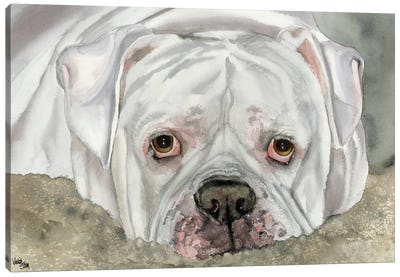 Second Hand Man - American Bulldog - Bingo Canvas Art Print - Bulldog Art