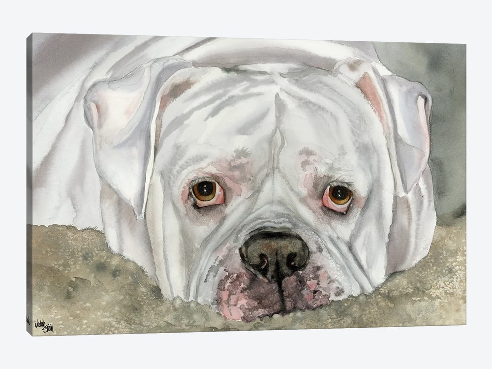 Second Hand Man - American Bulldog - Bingo by Judith Stein 1-piece Canvas Print