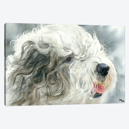 Sheepish Grin - Old English Sheepdog Canvas Print #JDI138} by Judith Stein Art Print