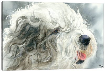 Sheepish Grin - Old English Sheepdog Canvas Art Print - Judith Stein