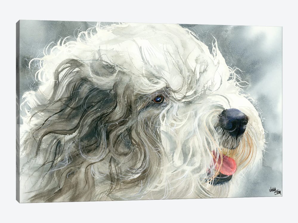Sheepish Grin - Old English Sheepdog by Judith Stein 1-piece Canvas Art