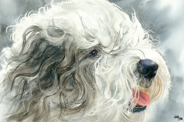 Other Breeds: Sheepish Grin - Old English Sheepdog by Judith Stein