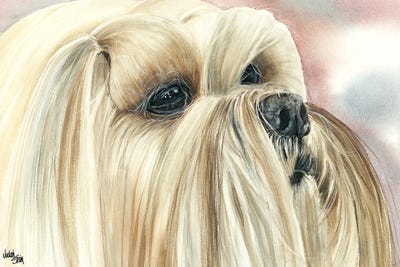 Bearded Lion Dog - Lhasa Apso by Judith Stein framed wall art
