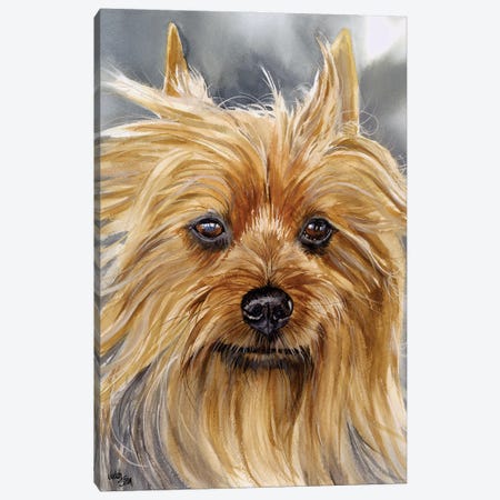 Smooth as Silk - Silky Terrier Canvas Print #JDI141} by Judith Stein Canvas Art