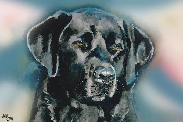 Labrador Retrievers: Smudge Black Lab - Blue Background by Judith Stein