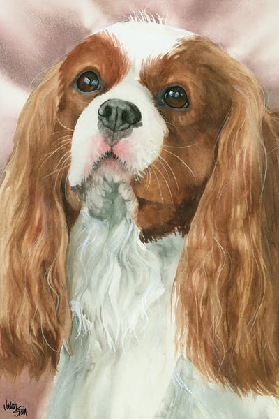 Cavalier King Charles Spaniels: So Cavalier - Cavalier King Charles Spaniel by Judith Stein