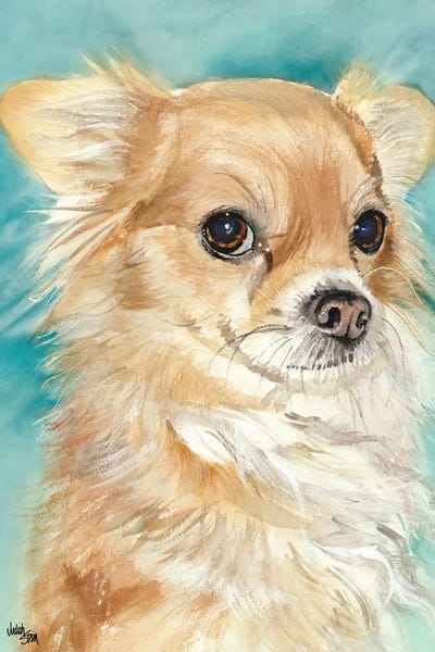 Sophie - Chihuahua by Judith Stein acrylic art print