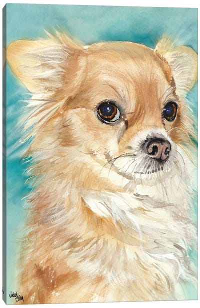 Sophie - Chihuahua Canvas Art Print - Judith Stein