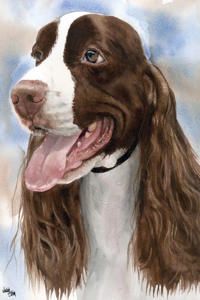 Spring into Action - English Springer Spaniel by Judith Stein metal wall art