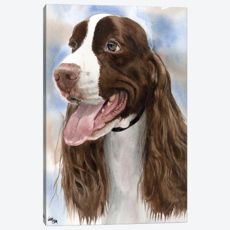 Spring into Action - English Springer Spaniel Canvas Print #JDI145} by Judith Stein Canvas Art Print