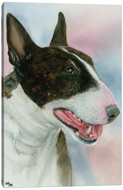 Spuds - Bull Terrier Dog Canvas Art Print - Judith Stein