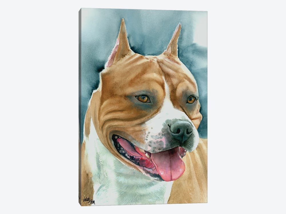 Staffy - American Staffordshire Dog by Judith Stein 1-piece Canvas Art Print