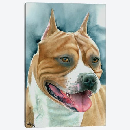 Staffy - American Staffordshire Dog Canvas Print #JDI148} by Judith Stein Canvas Art