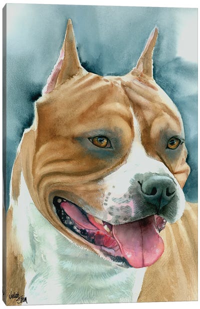Staffy - American Staffordshire Dog Canvas Art Print - Judith Stein