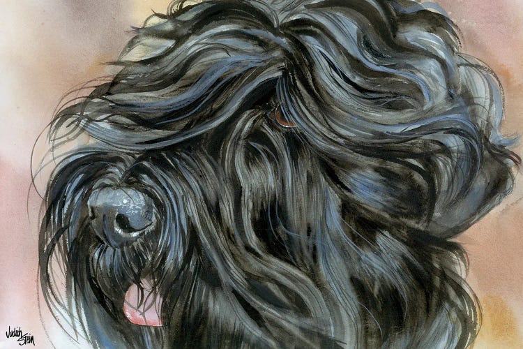 Stalin's Dog - Black Russian Terrier by Judith Stein wall art