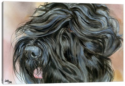 Stalin's Dog - Black Russian Terrier Canvas Art Print - Judith Stein