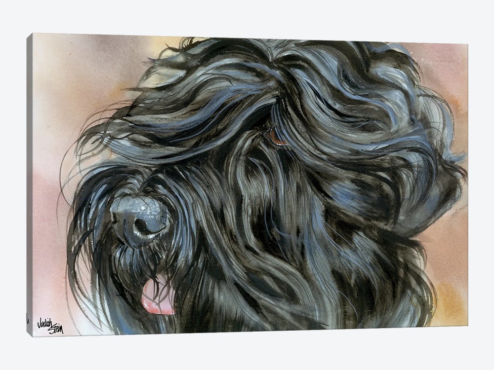 Stalin's Dog - Black Russian Terrier by Judith Stein 1-piece Canvas Wall Art