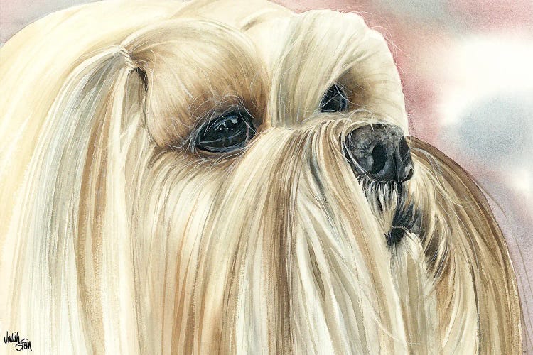 Bearded Lion Dog - Lhasa Apso