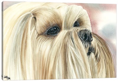 Bearded Lion Dog - Lhasa Apso Canvas Art Print - Judith Stein