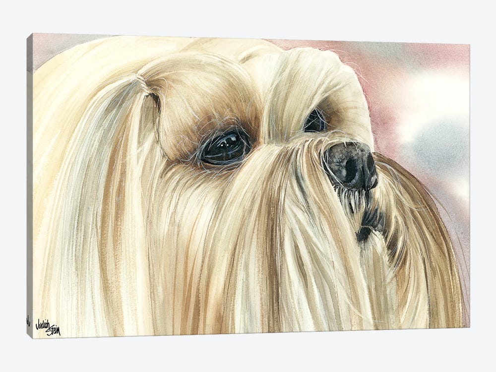 Bearded Lion Dog - Lhasa Apso by Judith Stein 1-piece Canvas Art
