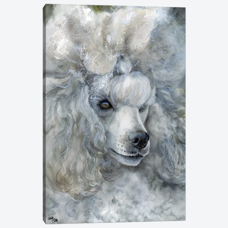 Sterling Silver - Miniature Poodle Canvas Print #JDI150} by Judith Stein Canvas Art Print