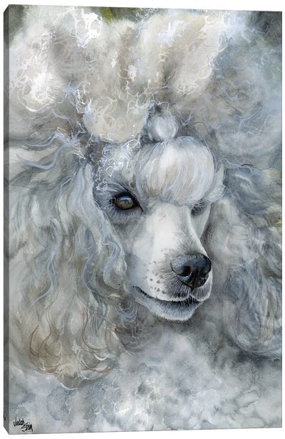 Sterling Silver - Miniature Poodle Canvas Art Print - Judith Stein